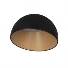 Потолочный светодиодный светильник Loft IT Egg 10197/350 Black